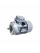 TRANSTECNO Electric Motor MS160M-4