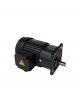 TUNYO Electric Motor GL18-100-60S