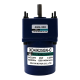 XD Electric Motor XD4IK25GN-C