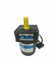 ZHONGDA Electric Motor 4IK25GN-H