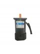 ZHONGDA Electric Motor 5IK120RA-DF