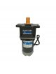 ZHONGDA Electric Motor Z5D60-24GU