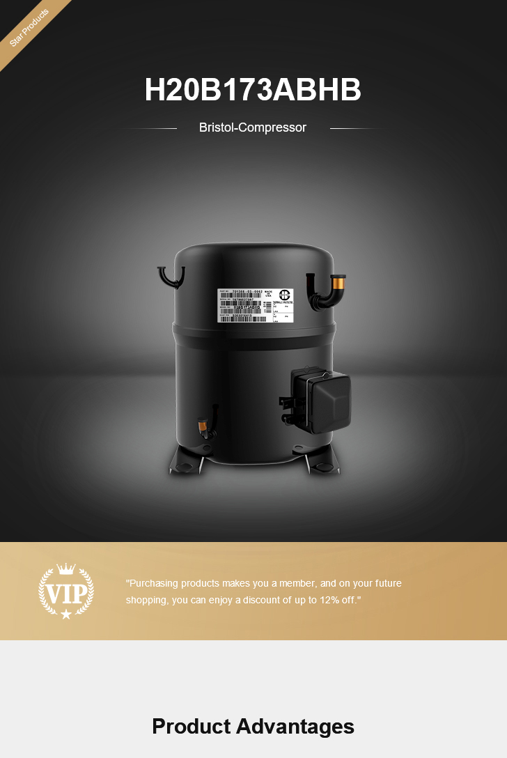 Bristol Compressor H20B173ABHB, technical parameters pdf, structure diagram