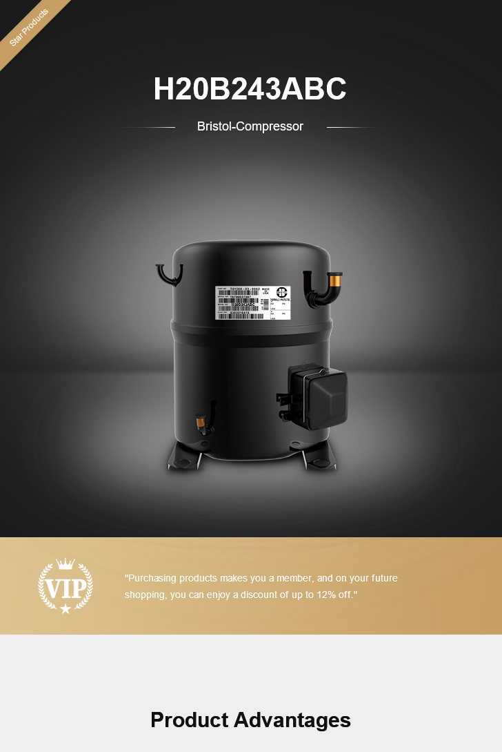 Bristol Compressor H20B243ABC, technical parameters pdf, structure diagram