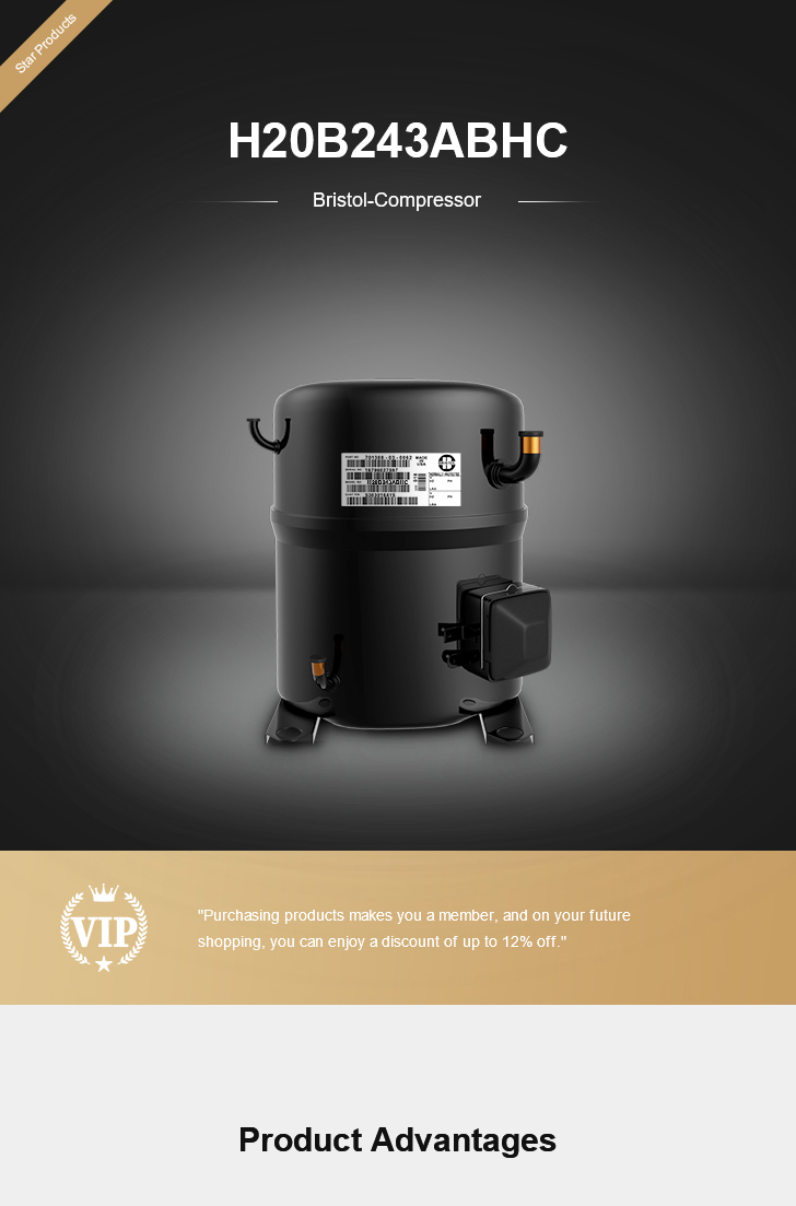 Bristol Compressor H20B243ABHC, technical parameters pdf, structure diagram