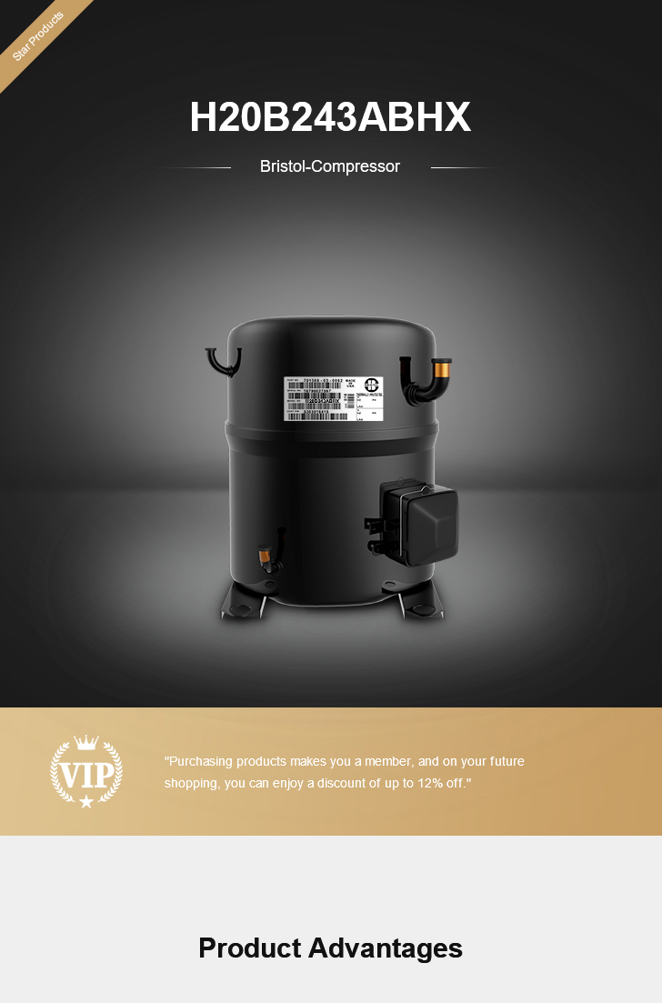 Bristol Compressor H20B243ABHX, technical parameters pdf, structure diagram