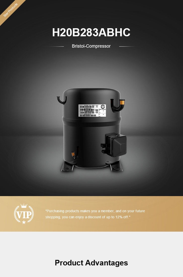 Bristol Compressor H20B283ABHC, technical parameters pdf, structure diagram