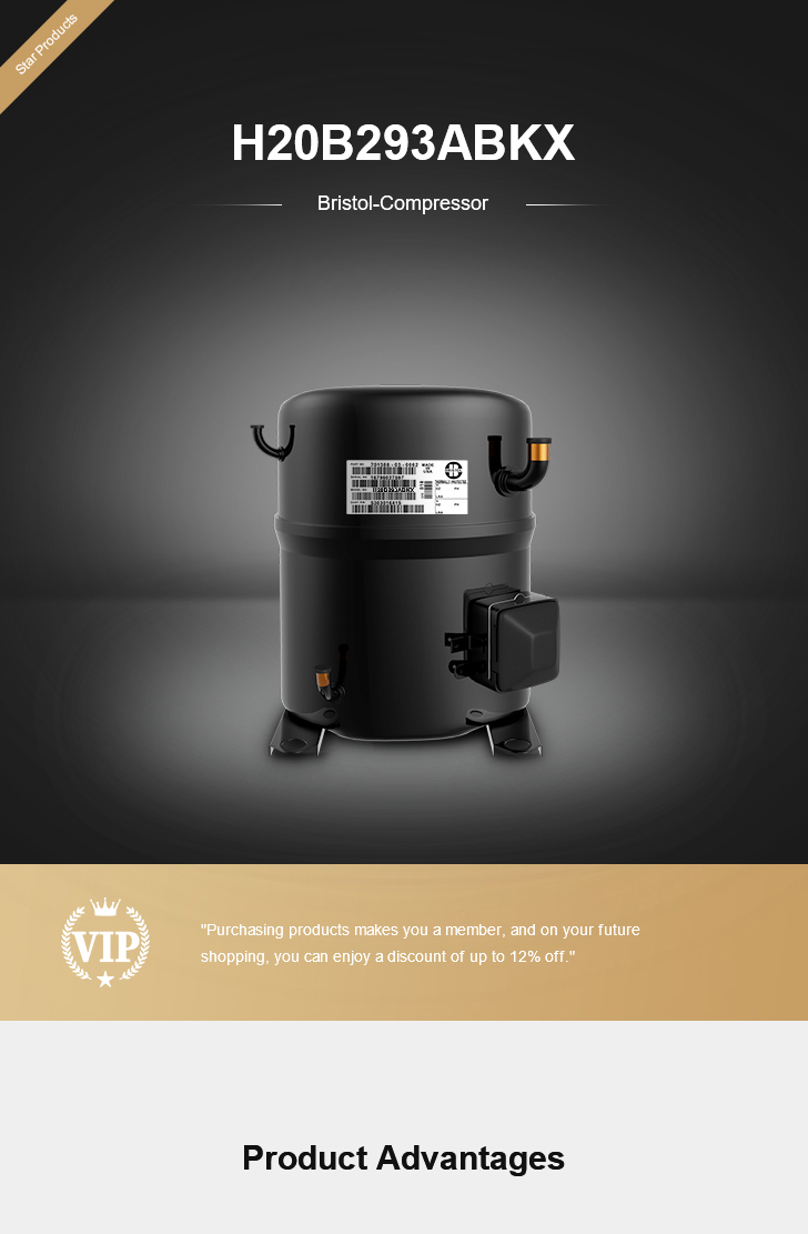 Bristol Compressor H20B293ABKX, technical parameters pdf, structure diagram