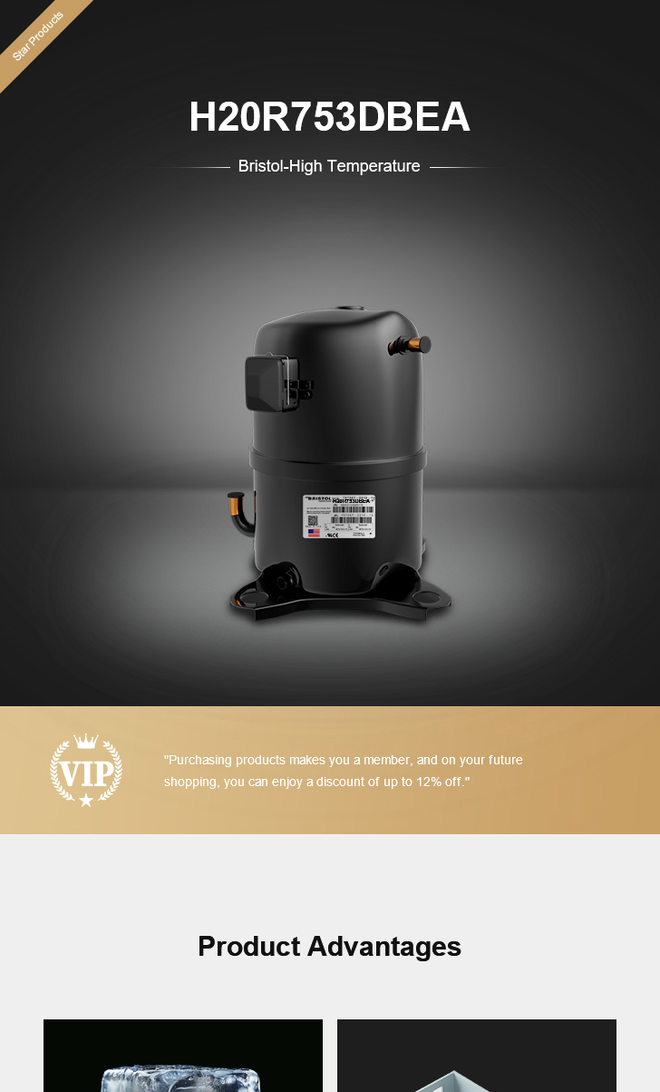 Bristol Compressor H20R753DBEA, technical parameters pdf, structure diagram