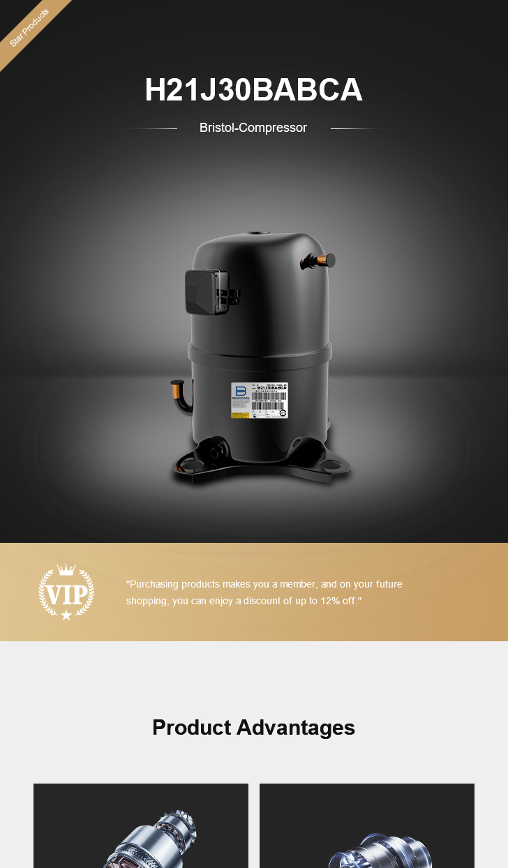 Bristol Compressor H21J30BABCA, technical parameters pdf, structure diagram