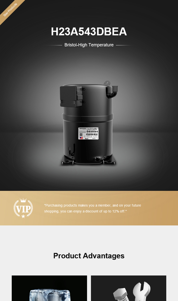 Bristol Compressor H23A543DBEA, technical parameters pdf, structure diagram