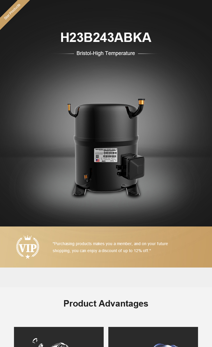 Bristol Compressor H23B243ABKA, technical parameters pdf, structure diagram