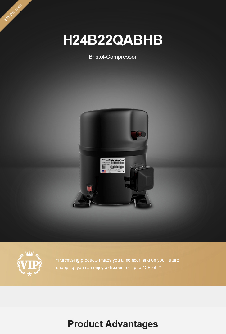 Bristol Compressor H24B22QABHB, technical parameters pdf, structure diagram