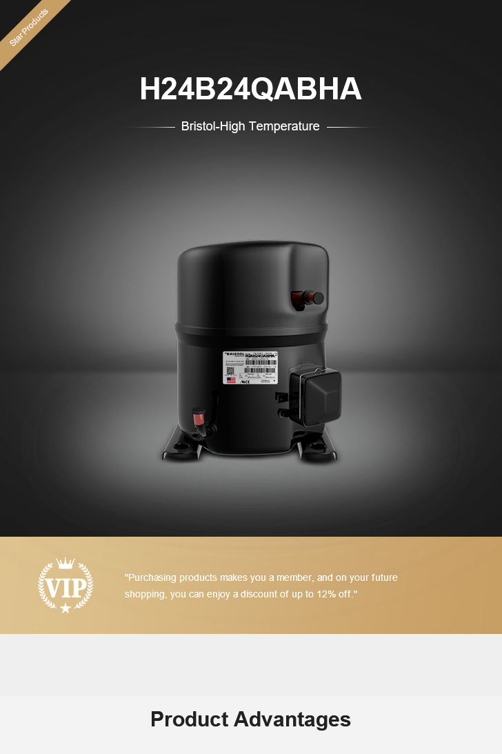 Bristol Compressor H24B24QABHA, technical parameters pdf, structure diagram