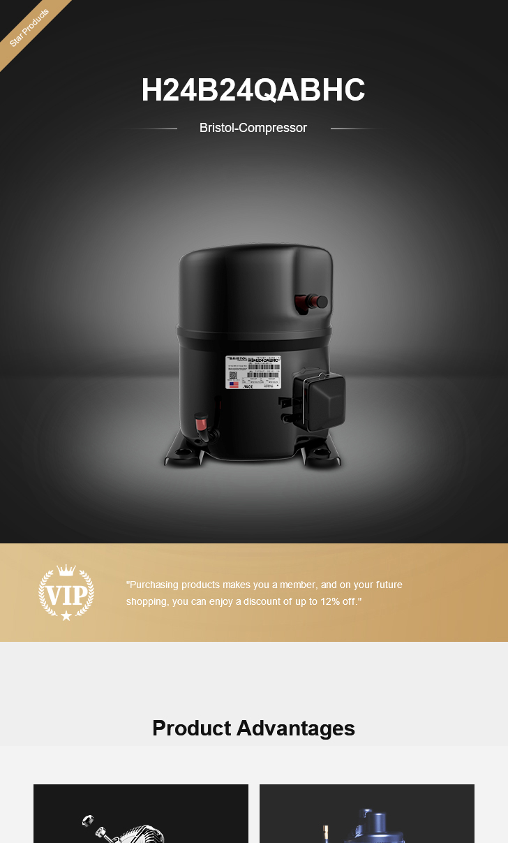 Bristol Compressor H24B24QABHC, technical parameters pdf, structure diagram