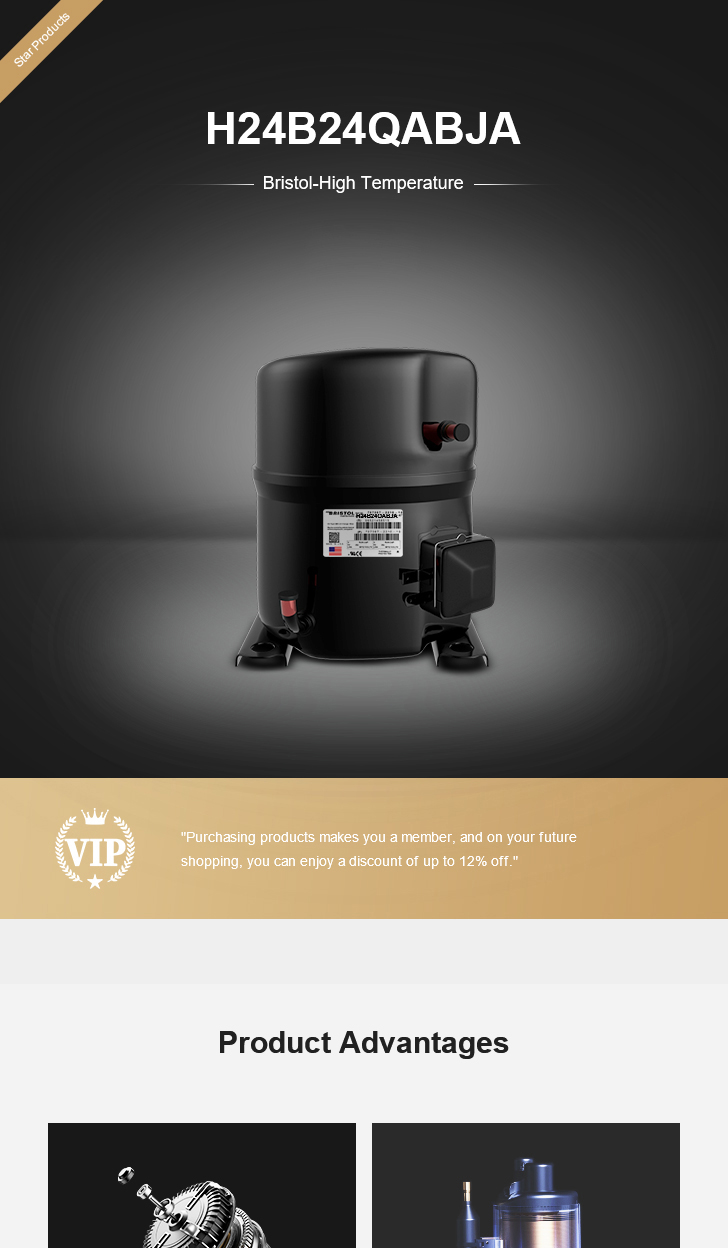 Bristol Compressor H24B24QABJA, technical parameters pdf, structure diagram
