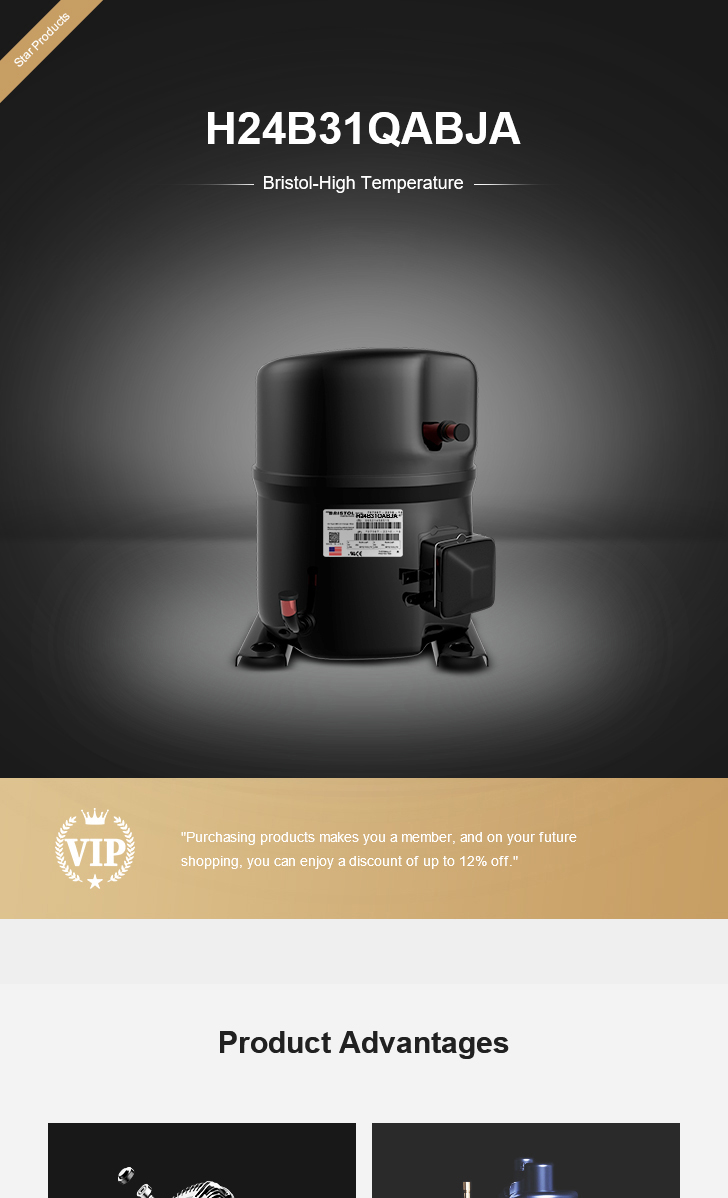 Bristol Compressor H24B31QABJA, technical parameters pdf, structure diagram