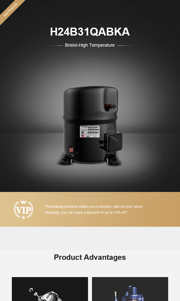 Bristol Compressor H24B31QABKA, technical parameters pdf, structure diagram