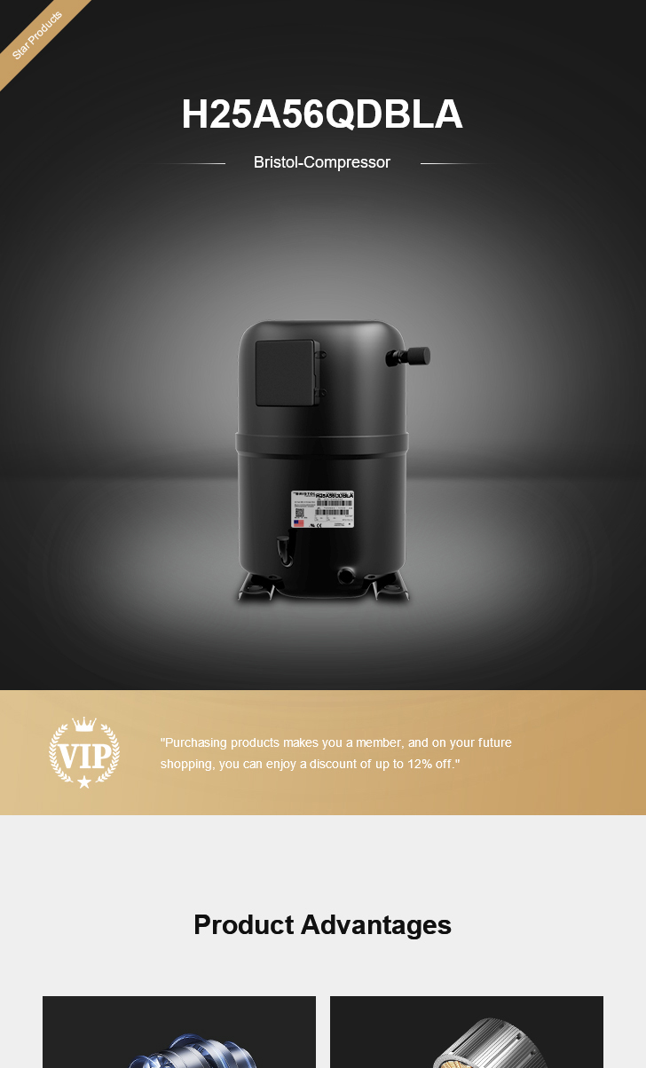 Bristol Compressor H25A56QDBLA, technical parameters pdf, structure diagram