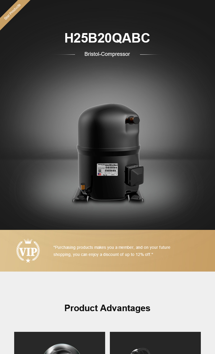 Bristol Compressor H25B20QABC, technical parameters pdf, structure diagram