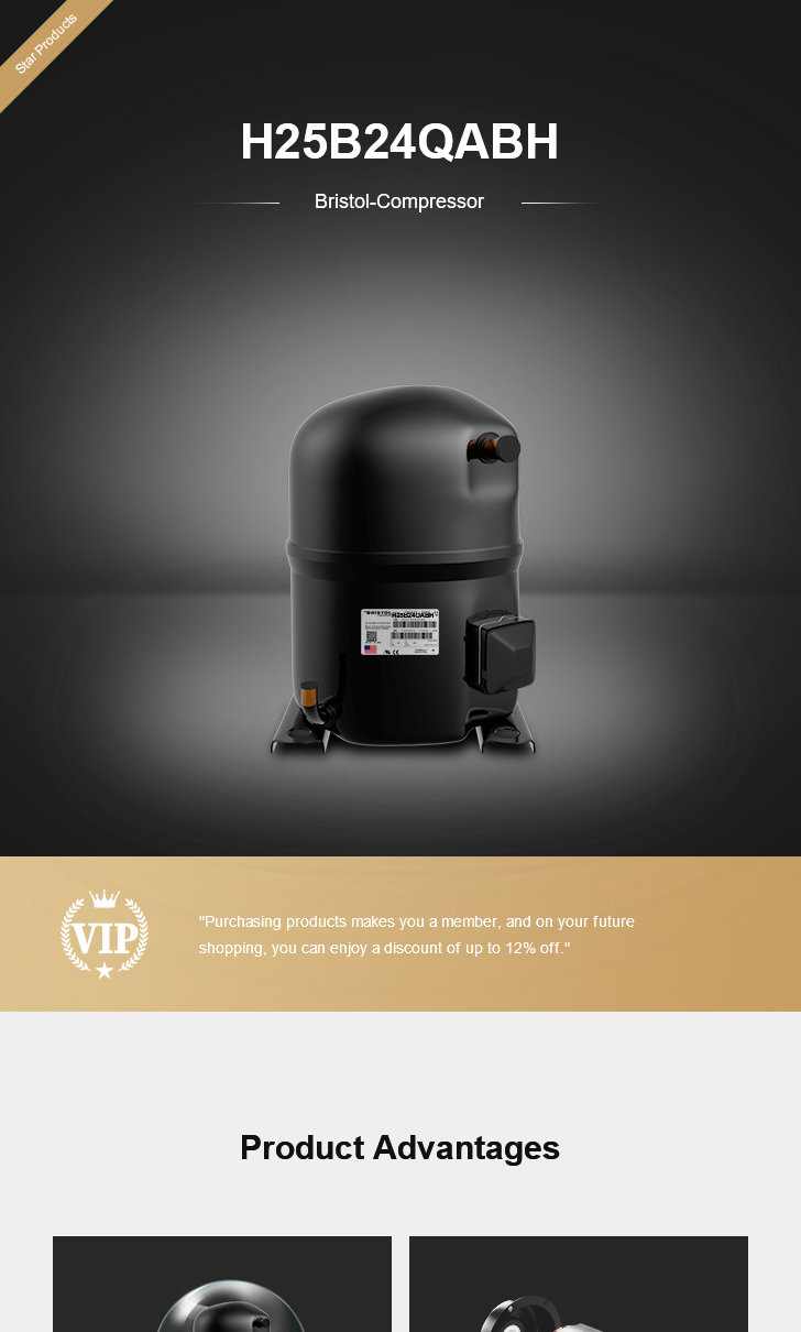 Bristol Compressor H25B24QABH, technical parameters pdf, structure diagram