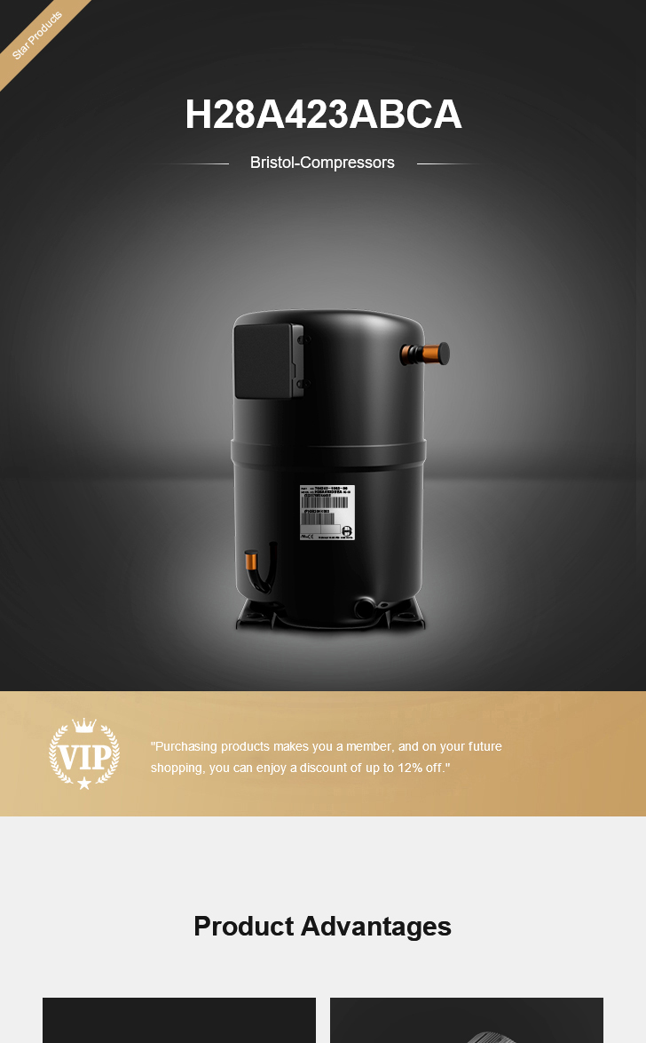 Bristol Compressor H28A423ABCA, technical parameters pdf, structure diagram