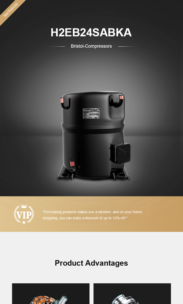 Bristol Compressor H2EB24SABKA, technical parameters pdf, structure diagram