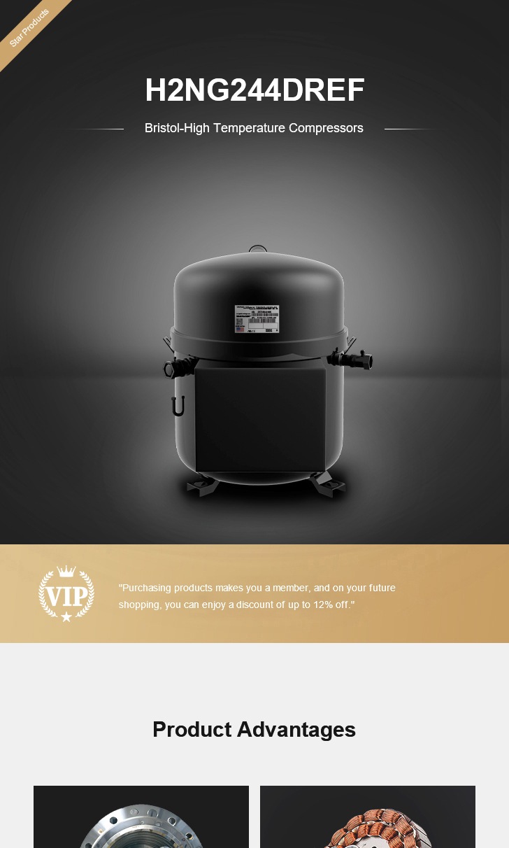 Bristol Compressor H2NG244DREF, technical parameters pdf, structure diagram