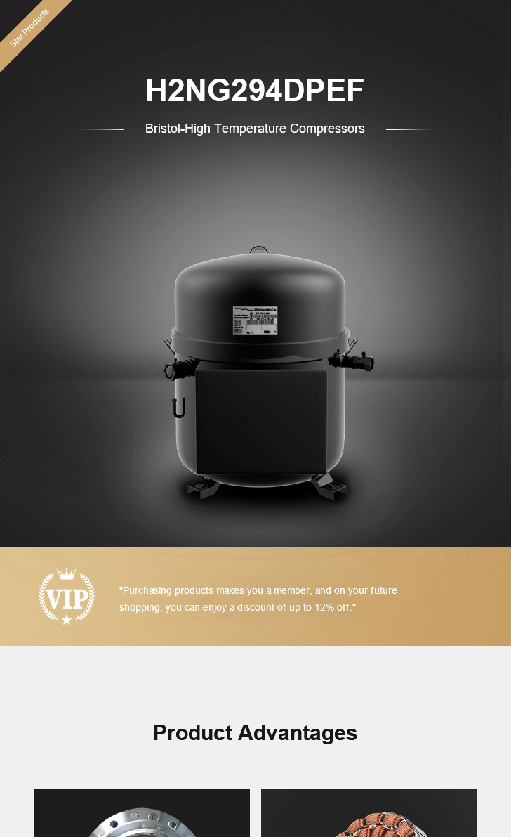 Bristol Compressor H2NG294DPEF, technical parameters pdf, structure diagram