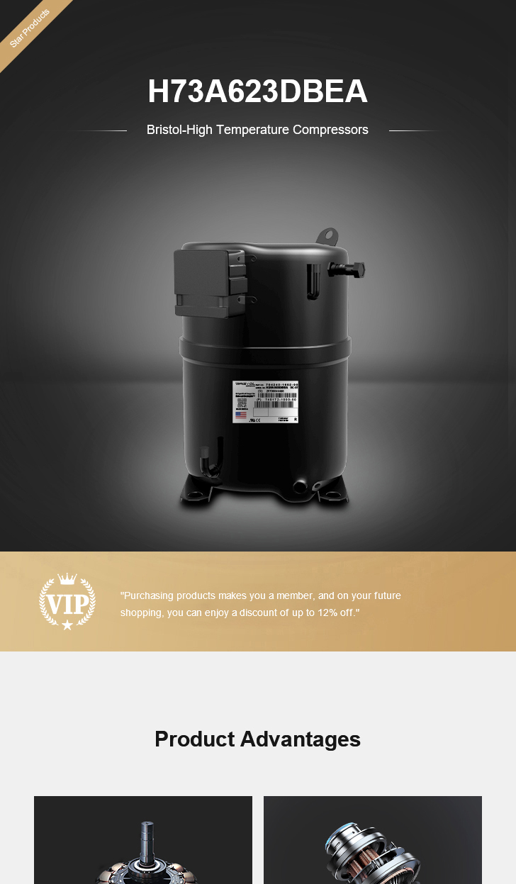 Bristol Compressor H73A623DBEA, technical parameters pdf, structure diagram