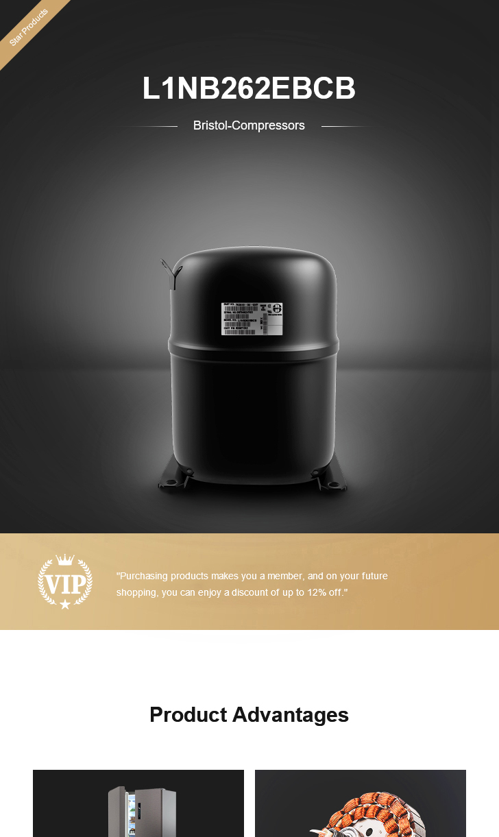 Bristol Compressor L1NB262EBCB, technical parameters pdf, structure diagram