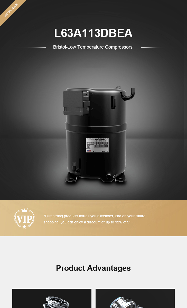 Bristol Compressor L63A113DBEA, technical parameters pdf, structure diagram