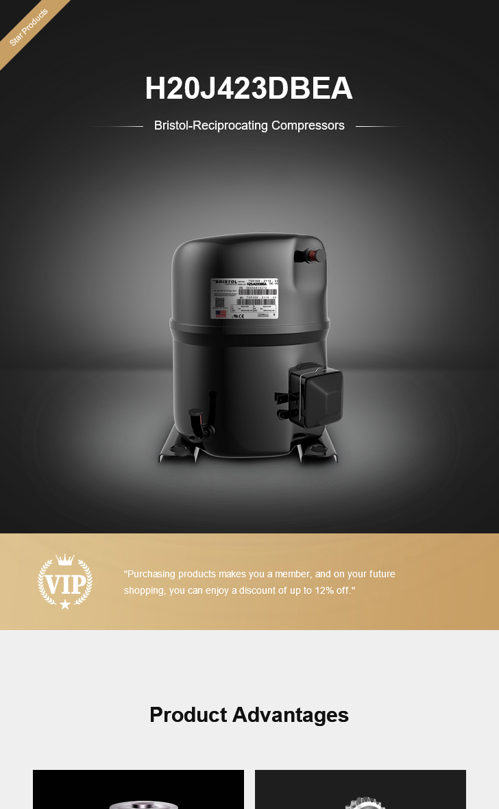 Bristol Compressor H20J423DBEA, technical parameters pdf, structure diagram