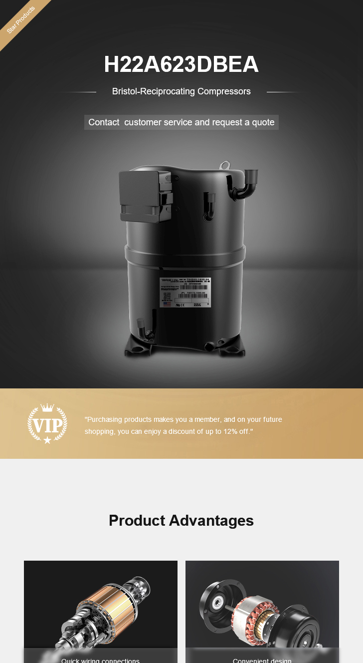 Bristol Compressor H22A623DBEA, technical parameters pdf, structure diagram
