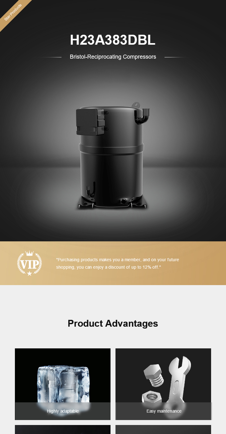 Bristol Compressor H23A383DBL, technical parameters pdf, structure diagram