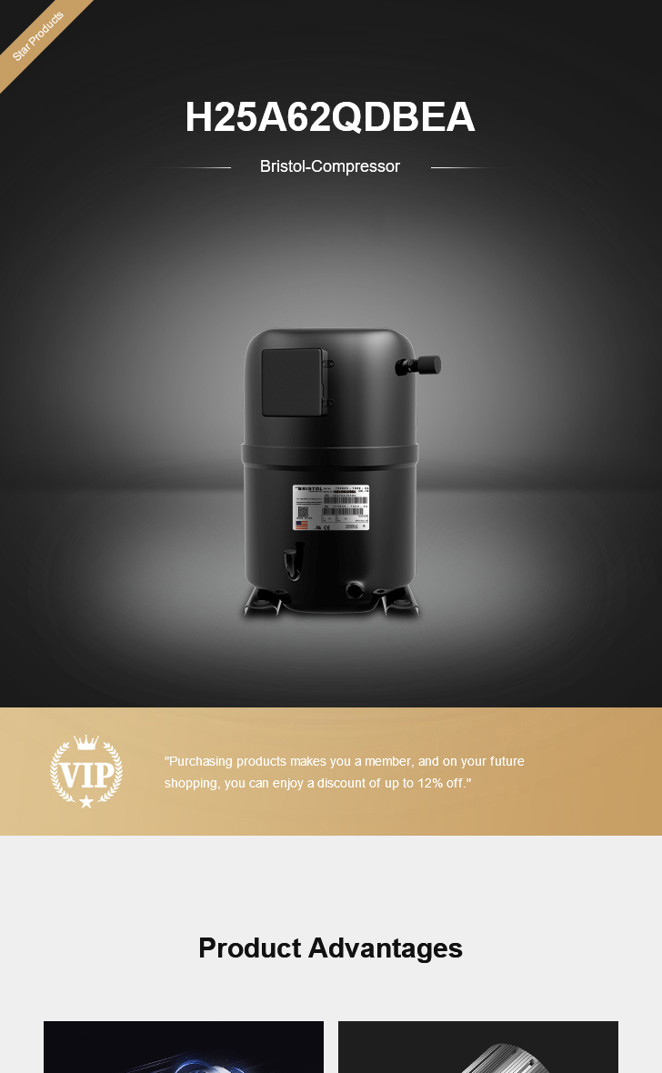 Bristol Compressor H25A62QDBEA, technical parameters pdf, structure diagram