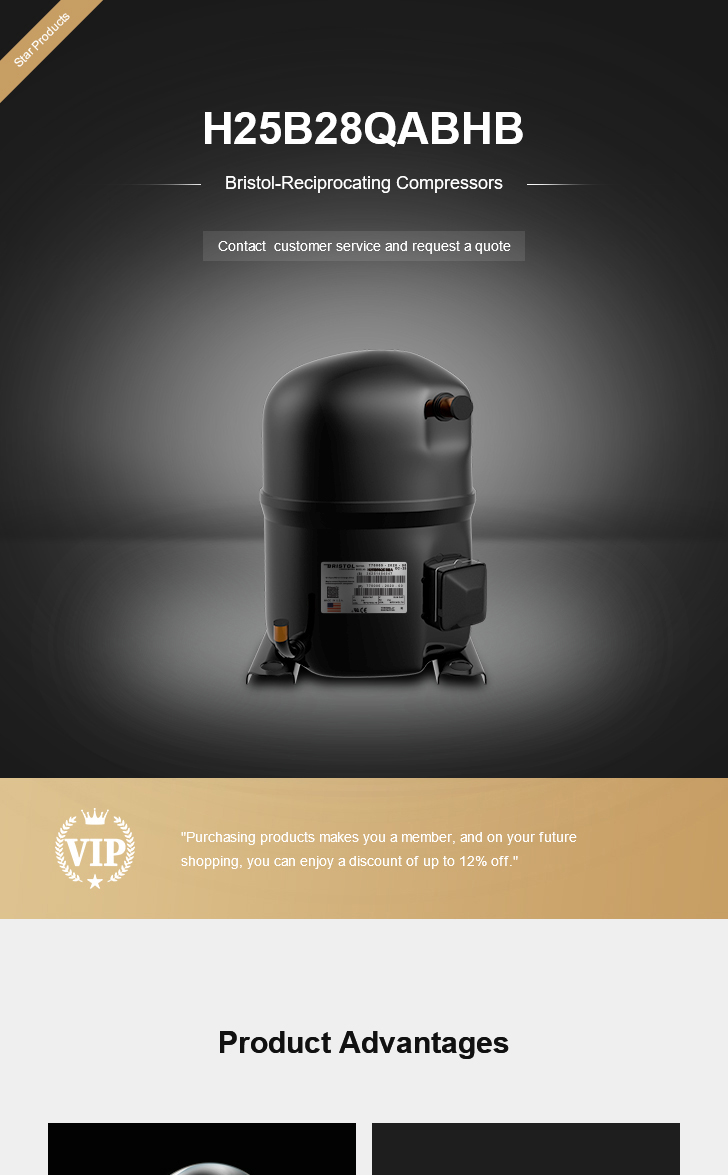Bristol Compressor H25B28QABHB, technical parameters pdf, structure diagram