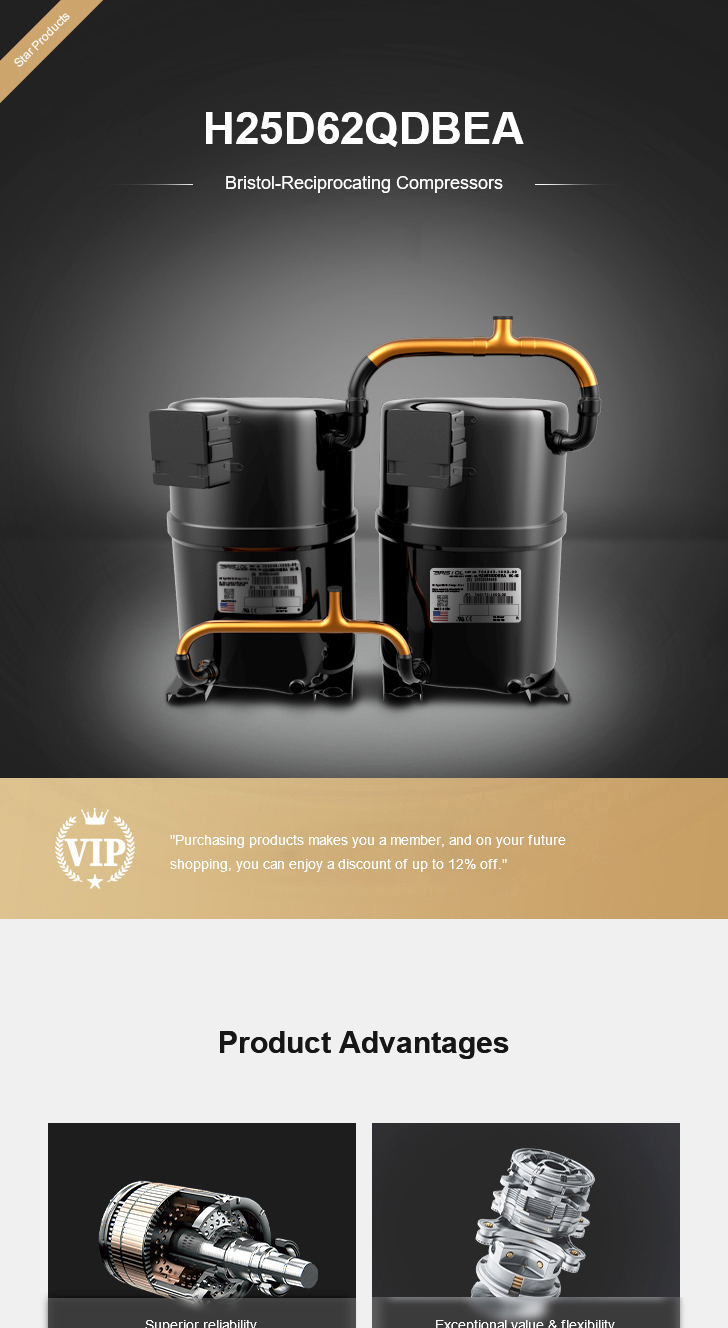 Bristol Compressor H25D62QDBEA, technical parameters pdf, structure diagram