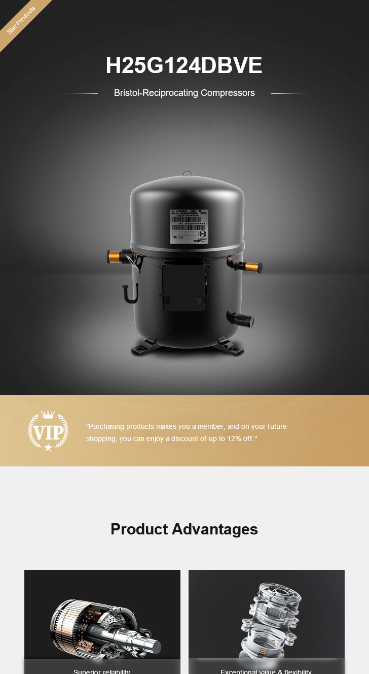 Bristol Compressor H25G124DBVE, technical parameters pdf, structure diagram