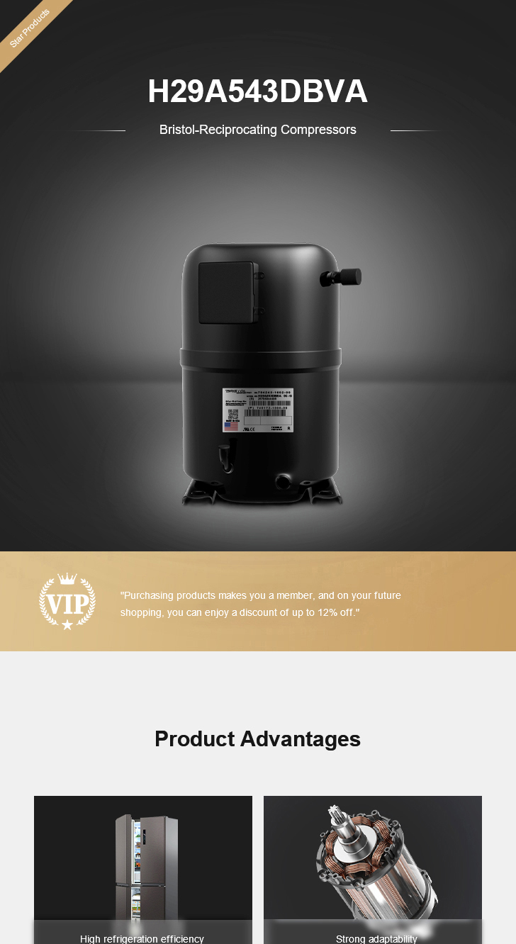 Bristol Compressor H29A543DBVA, technical parameters pdf, structure diagram