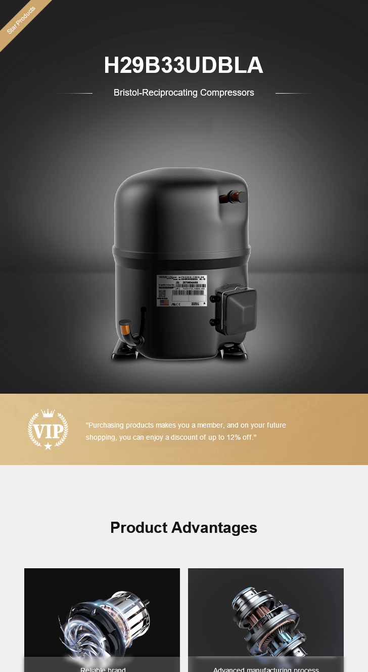 Bristol Compressor H29B33UDBLA, technical parameters pdf, structure diagram