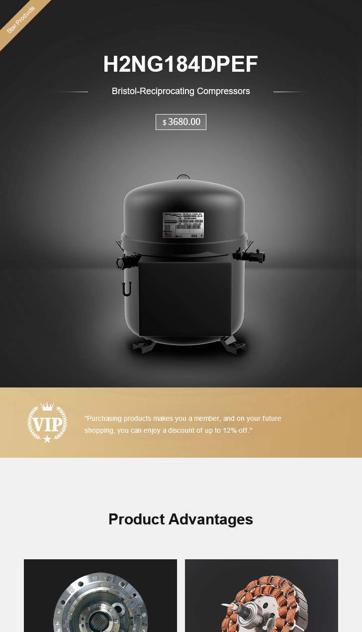 Bristol Compressor H2NG184DPEF, technical parameters pdf, structure diagram