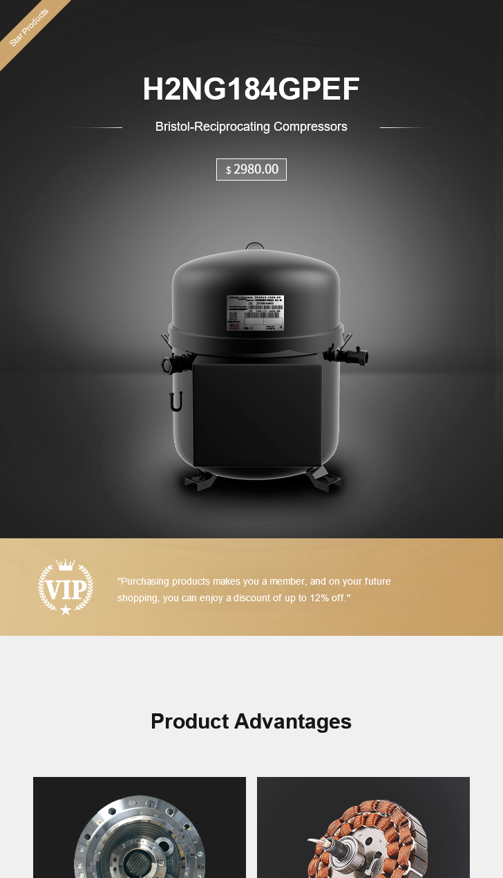 Bristol Compressor H2NG184GPEF, technical parameters pdf, structure diagram