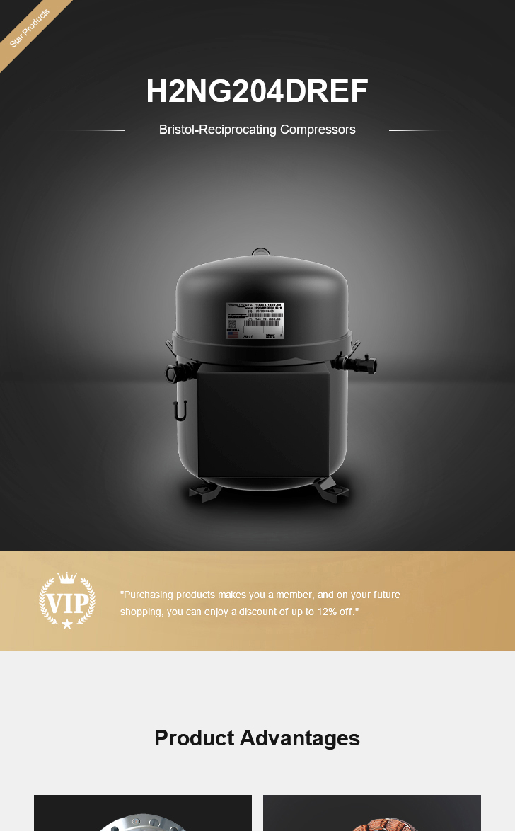 Bristol Compressor H2NG204DREF, technical parameters pdf, structure diagram