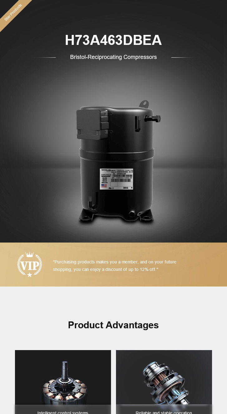 Bristol Compressor H73A463DBEA, technical parameters pdf, structure diagram