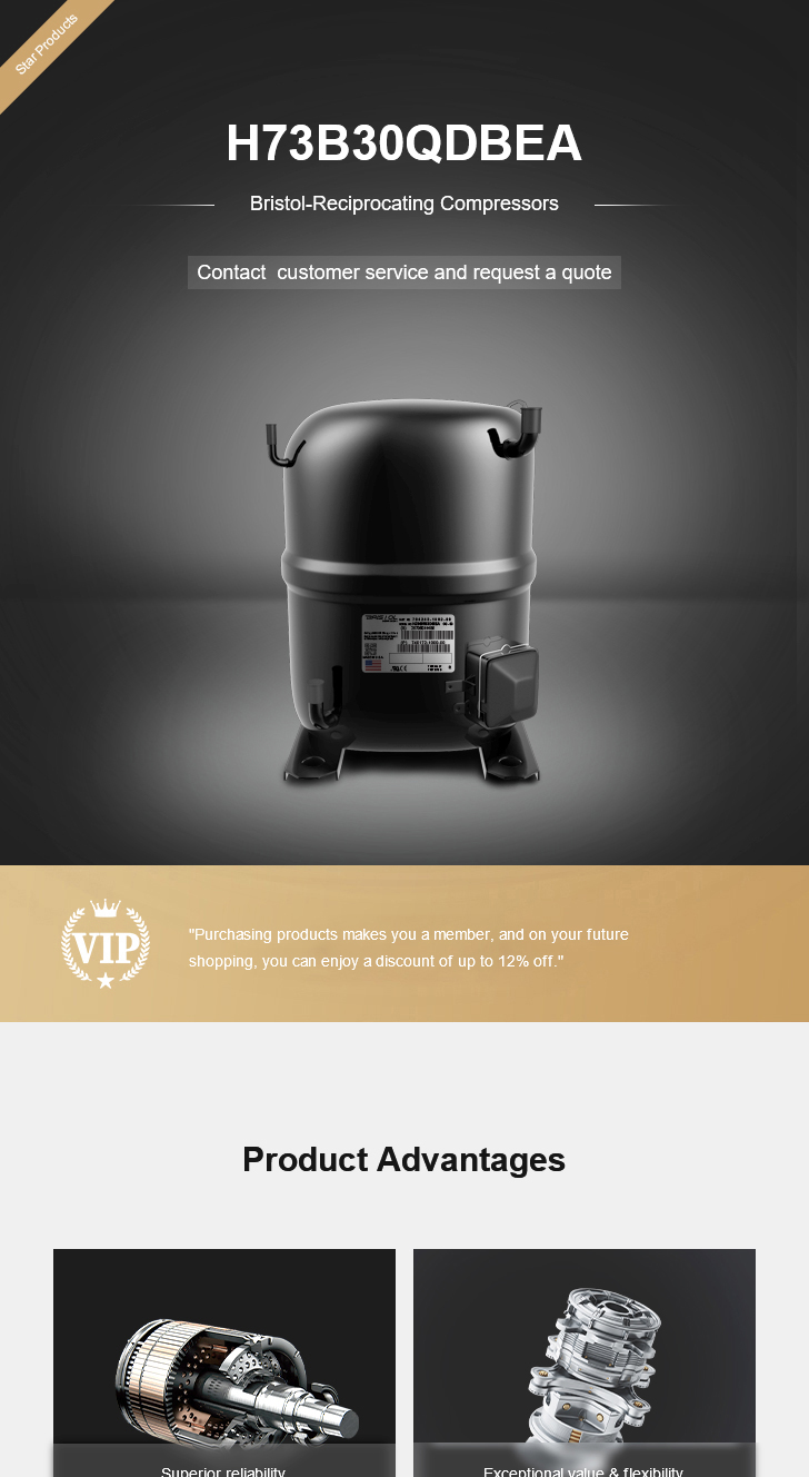 Bristol Compressor H73B30QDBEA, technical parameters pdf, structure diagram