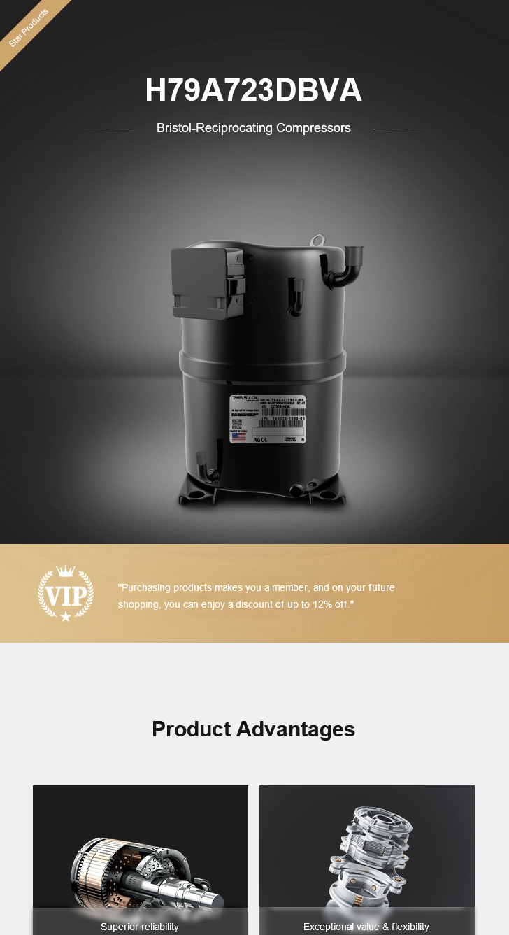 Bristol Compressor H79A723DBVA, technical parameters pdf, structure diagram