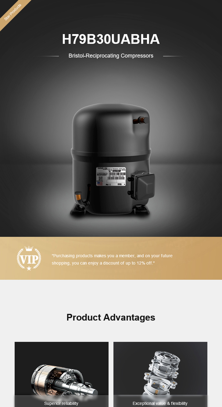 Bristol Compressor H79B30UABHA, technical parameters pdf, structure diagram