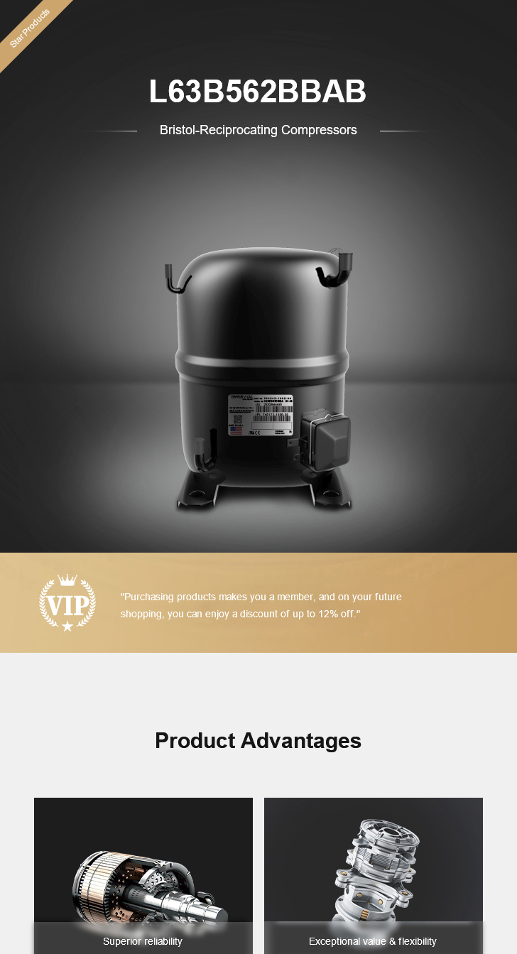 Bristol Compressor L63B752BBKB, technical parameters pdf, structure diagram