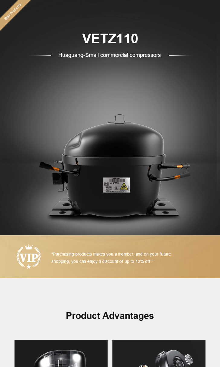 Huaguang Compressor VETZ110, technical parameters pdf, structure diagram